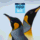 WebViewGold icon