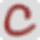 Coccinella icon